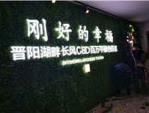 樹(shù)脂發(fā)光字作特點(diǎn)有哪些呢？山西德軒做字廠和您分享